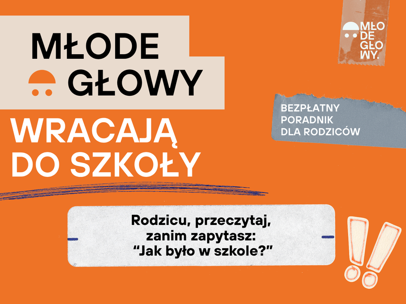 Poradnik_strona